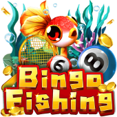 Câu Cá Bingo 123bet app